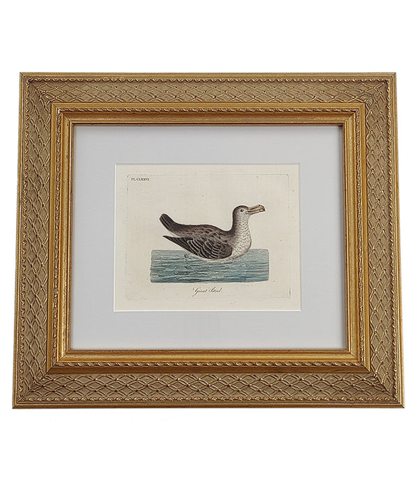 ANTIQUE BIRD ENGRAVING No. 2