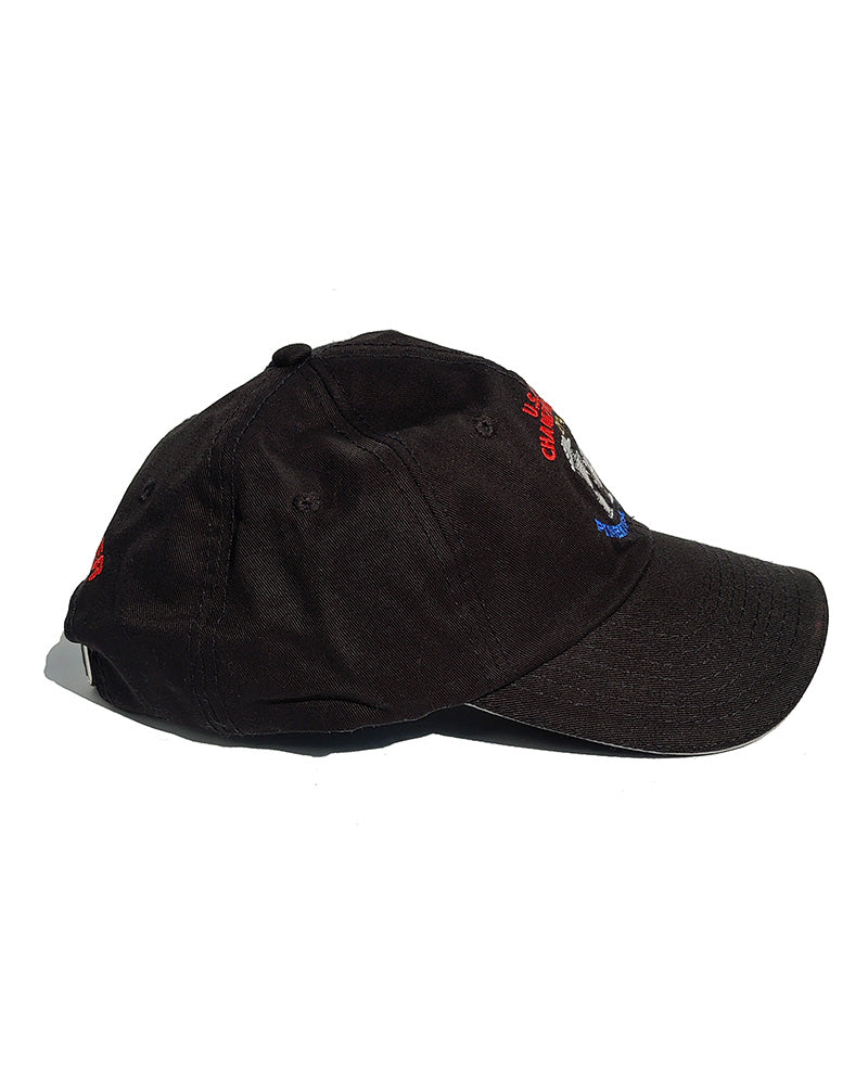 2014 US OPEN CHAMPIONSHIPS GOLF CAP