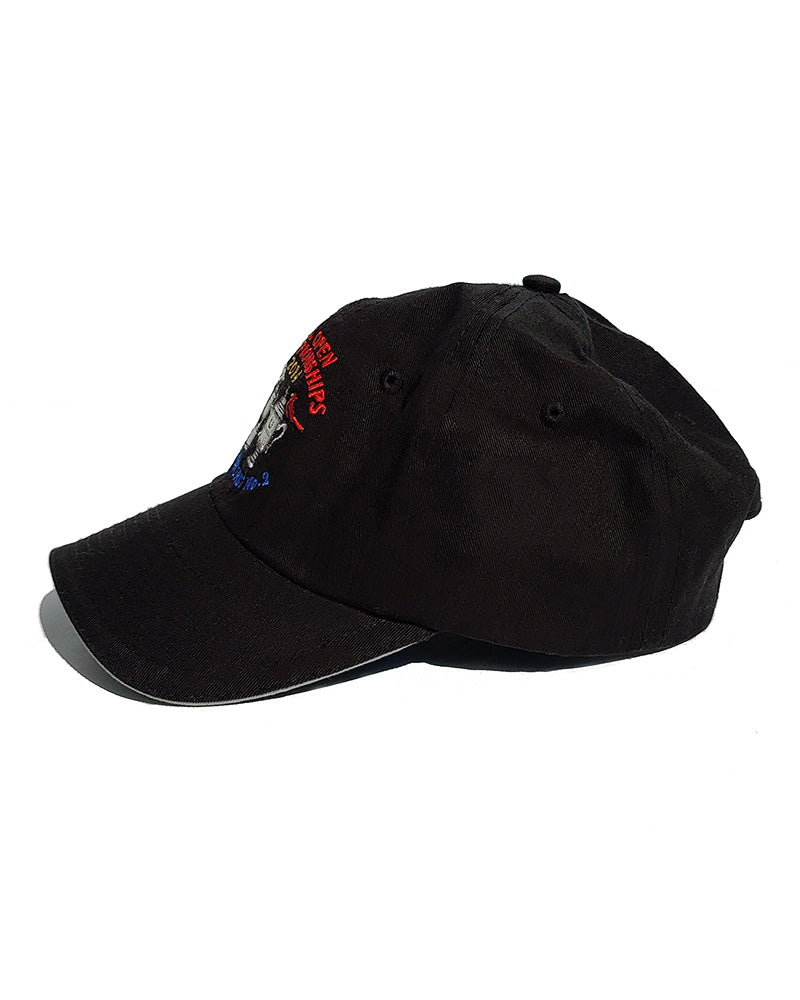 2014 US OPEN CHAMPIONSHIPS GOLF CAP