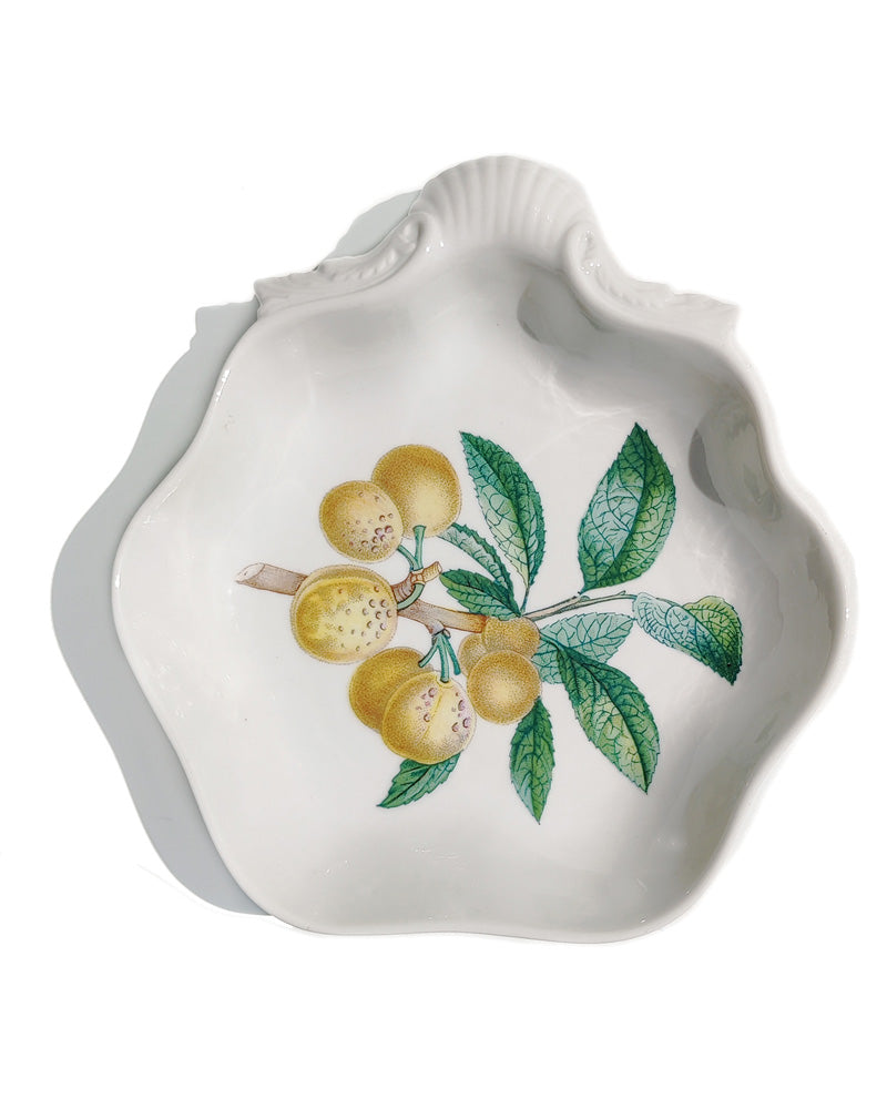 Mottahedeh Summer Fruit Shell dish top view