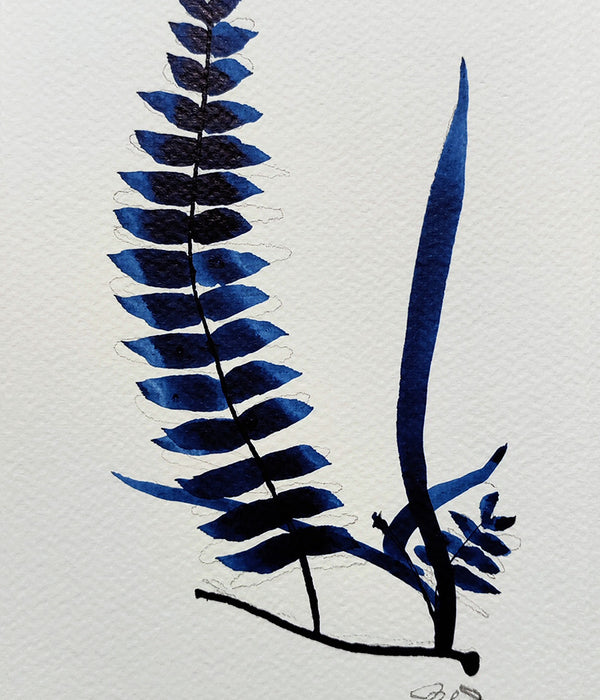 PETITE FERN Bleu No. 2