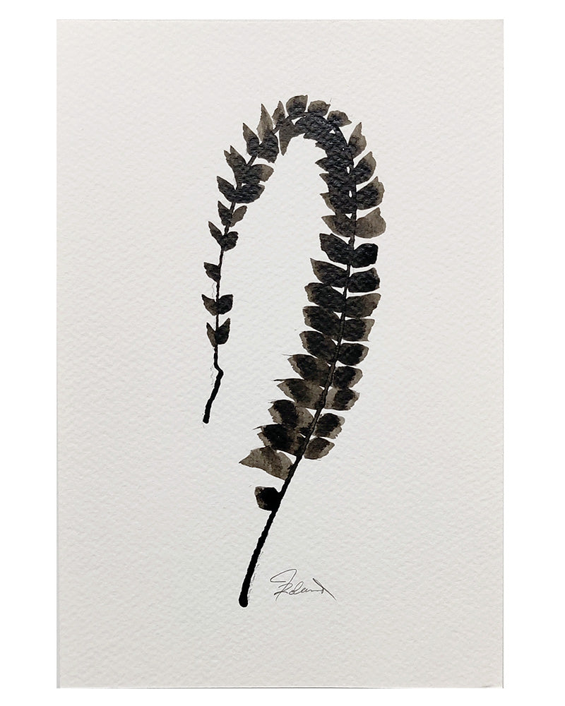 PETITE FERN Sepia No. 4