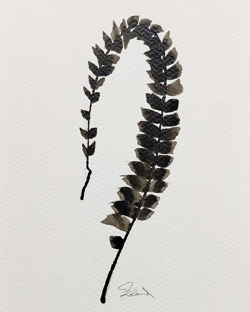 PETITE FERN Sepia No. 4