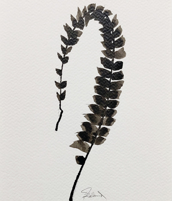 PETITE FERN Sepia No. 4