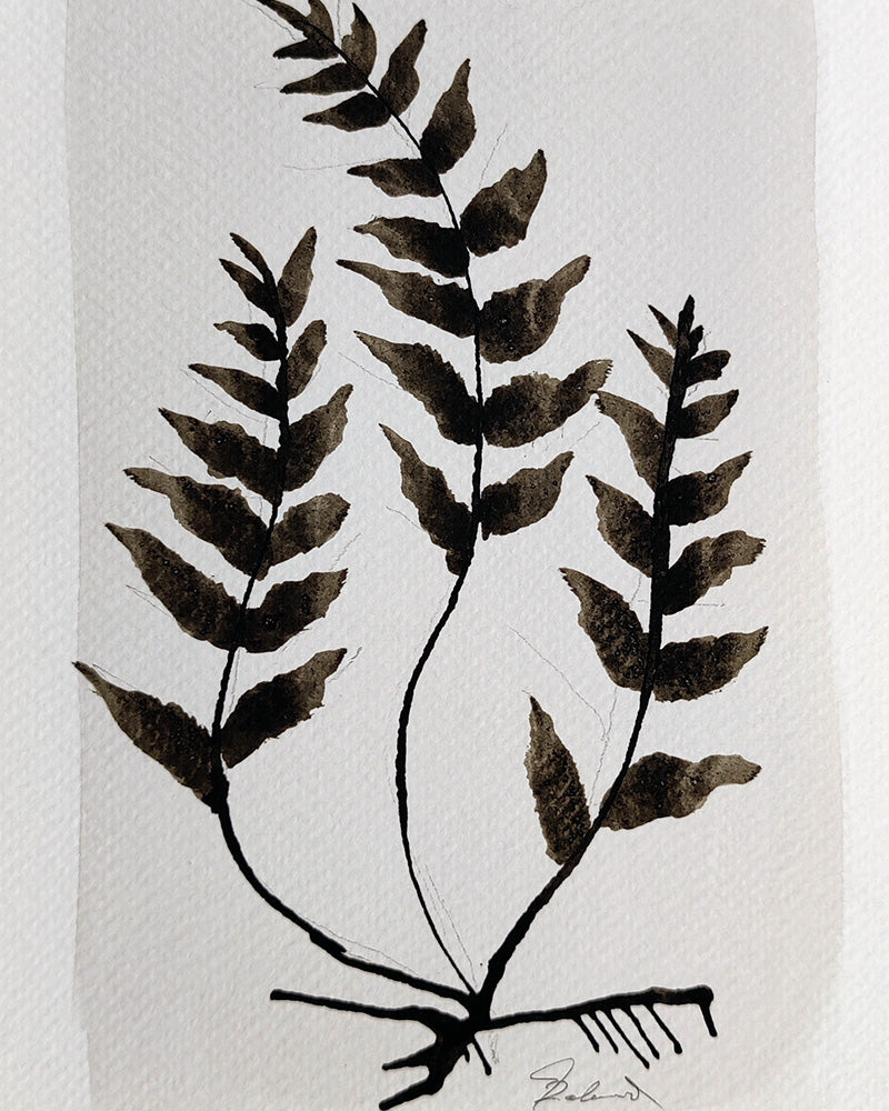 PETITE FERN No. 7