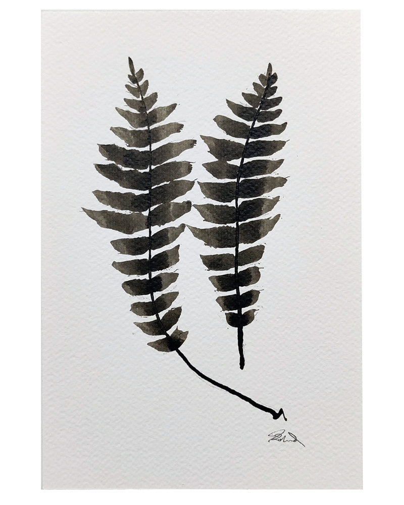 PETITE FERN Sepia No. 7