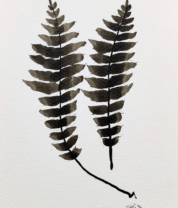 PETITE FERN Sepia No. 7