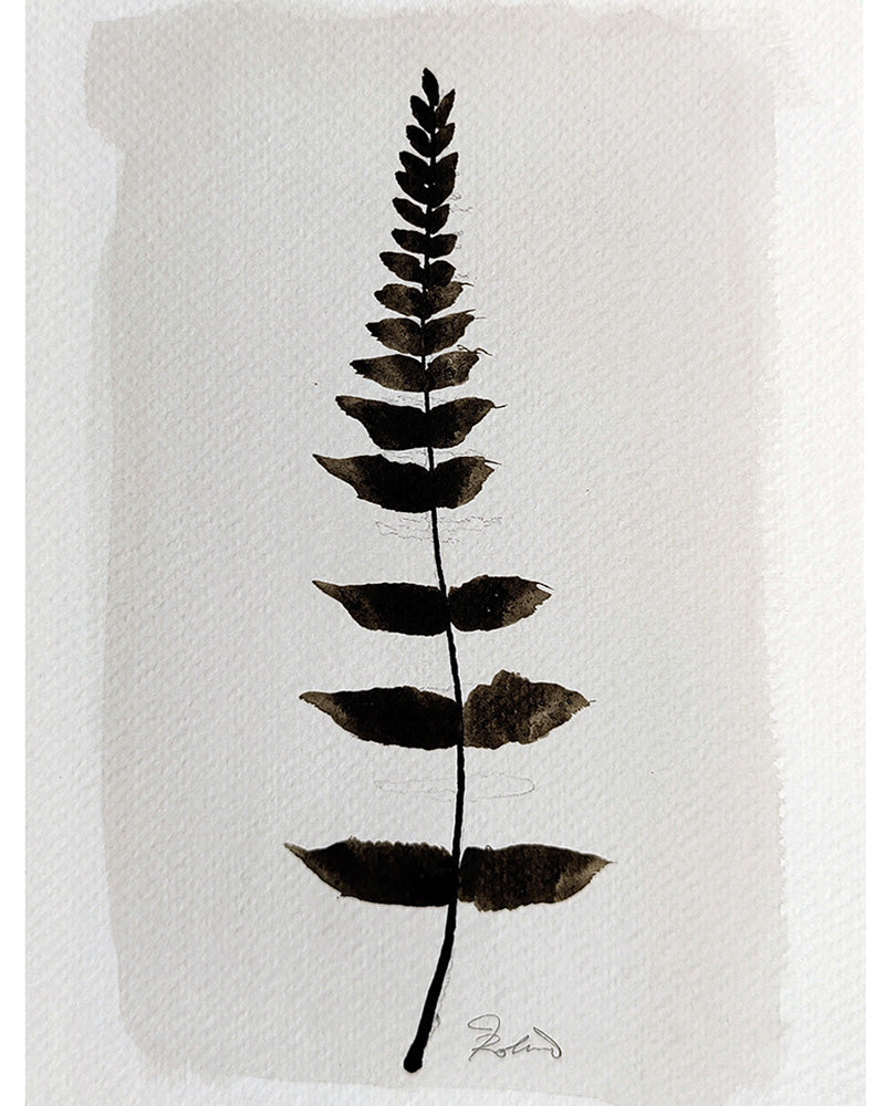 PETITE FERN No. 9