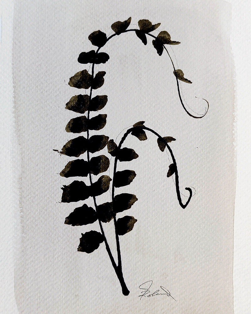 PETITE FERN No. 8