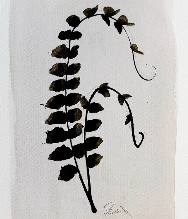 PETITE FERN No. 8