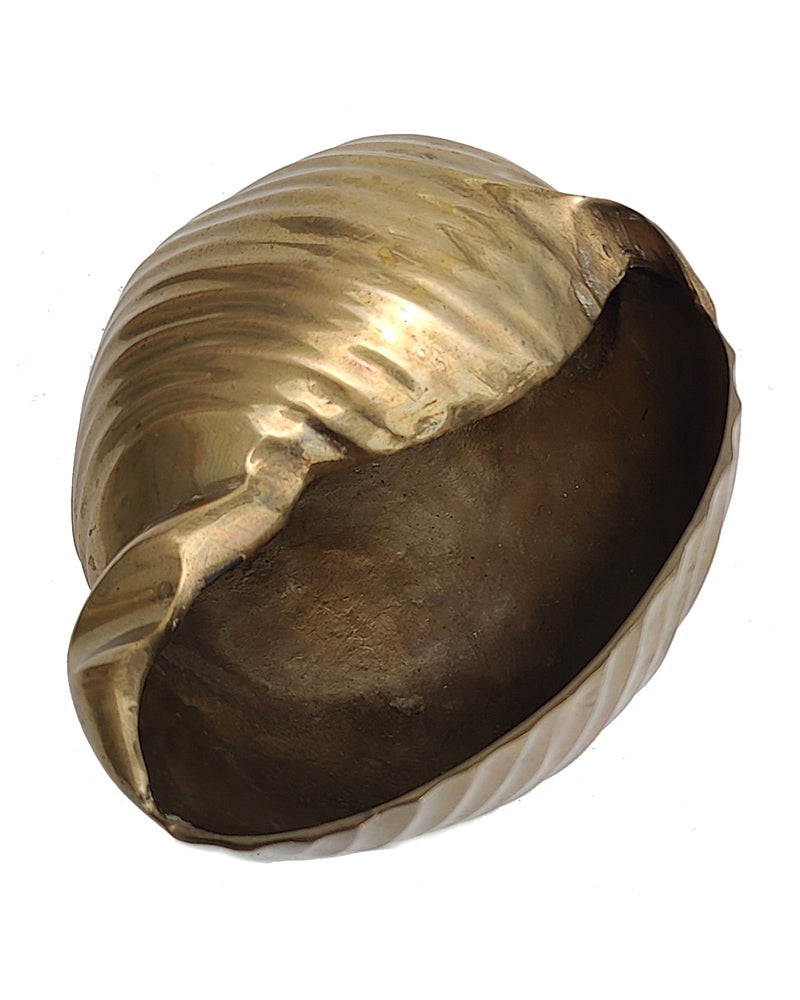 vintage Solid Brass Scotch Bonnet Shell Planter top view