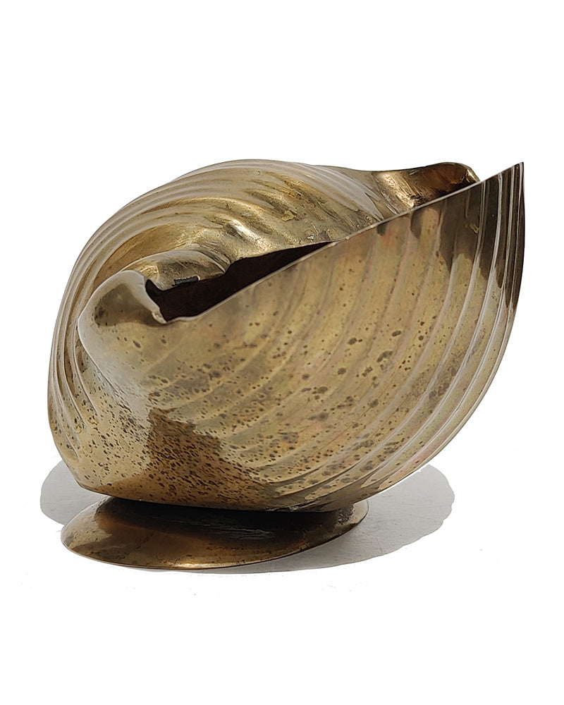 vintage Solid Brass Scotch Bonnet Shell Planter side view