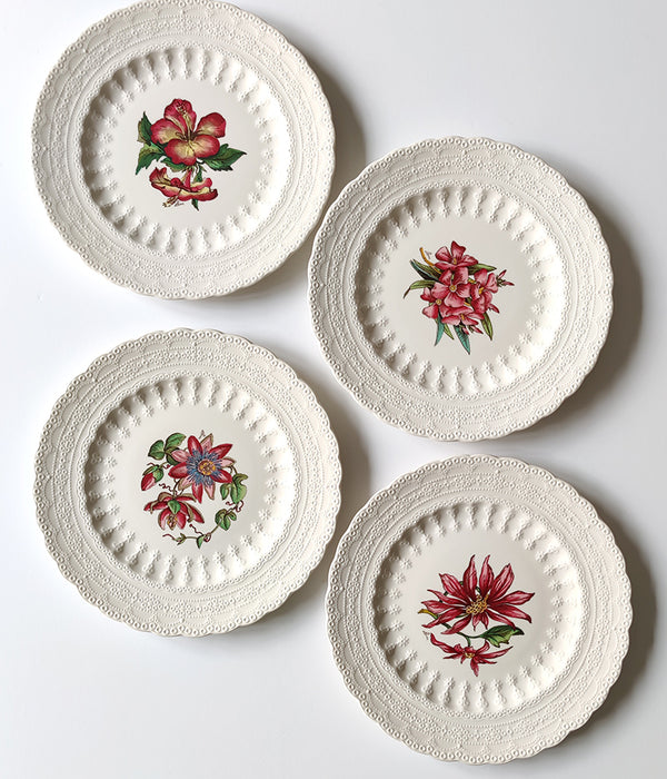 SPODE BERMUDA FLOWERS SET No. 1