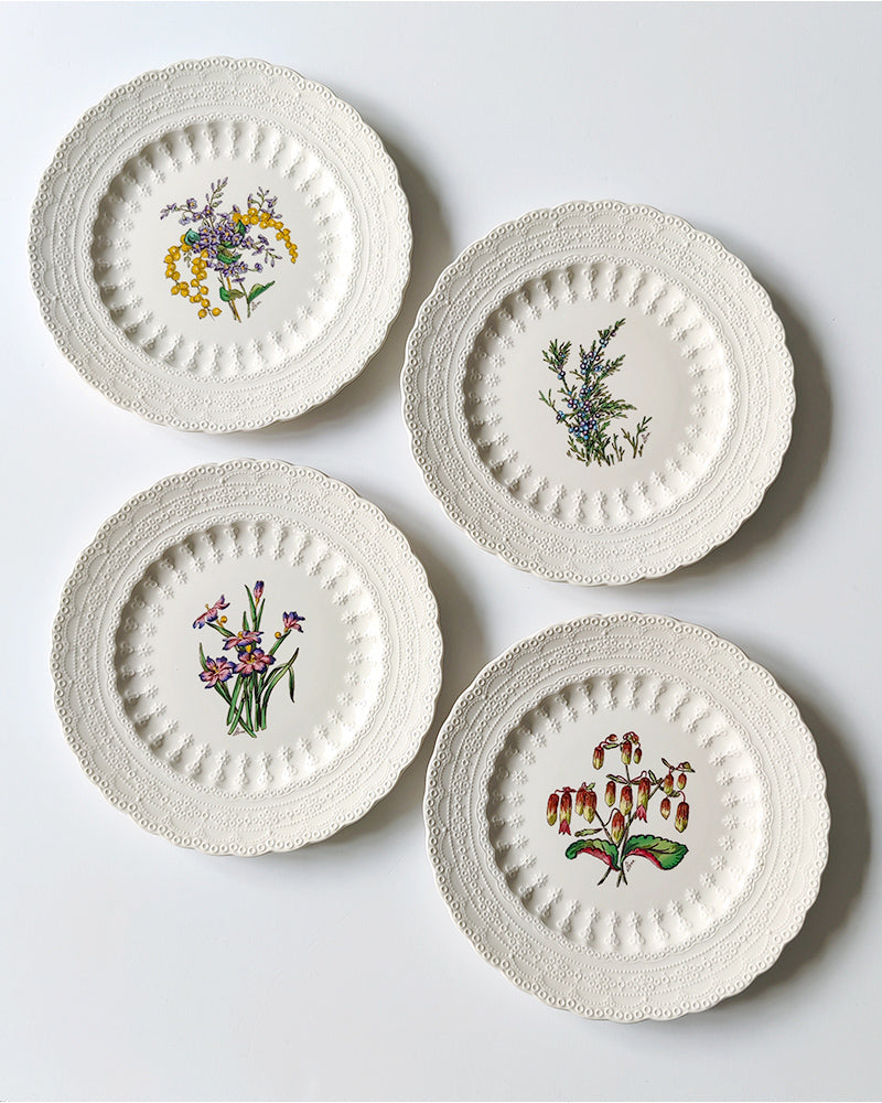 SPODE BERMUDA FLOWERS SET No. 2