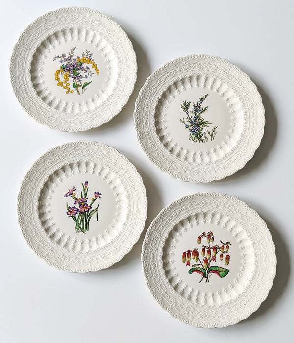 SPODE BERMUDA FLOWERS SET No. 2