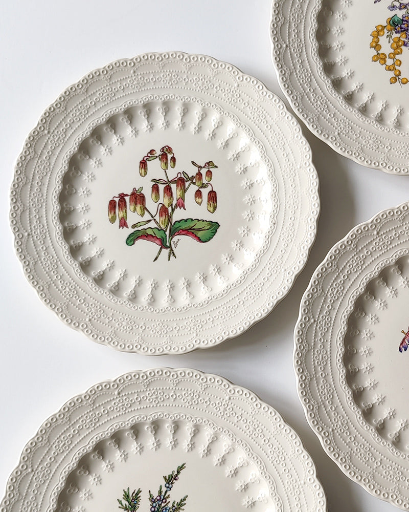 SPODE BERMUDA FLOWERS SET No. 2