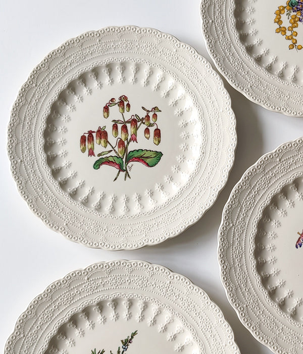 SPODE BERMUDA FLOWERS SET No. 2