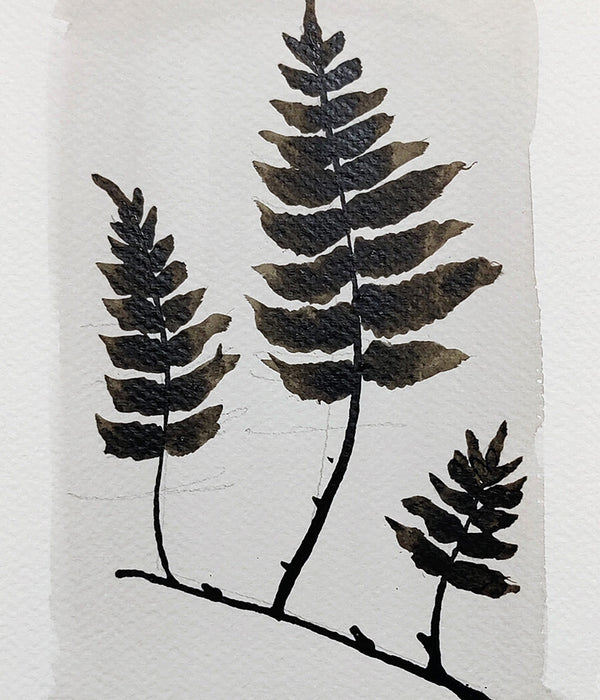 PETITE FERN No. 1