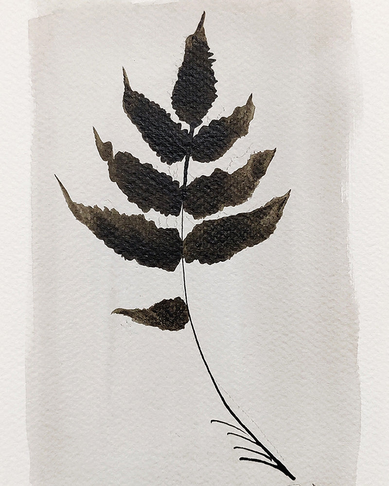 PETITE FERN No. 3