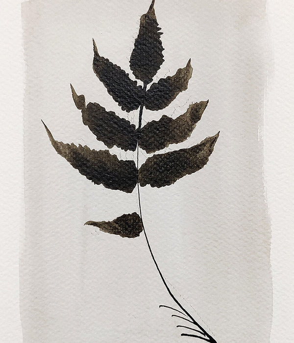 PETITE FERN No. 3