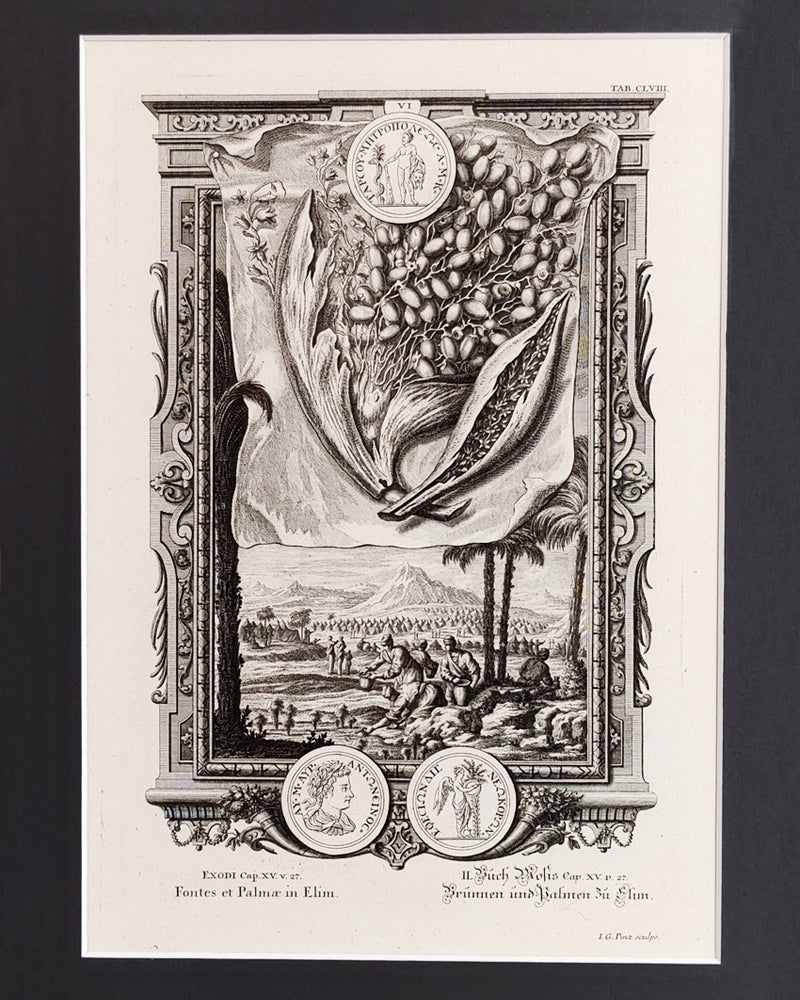 PHYSICA SACRA ENGRAVING No. 2